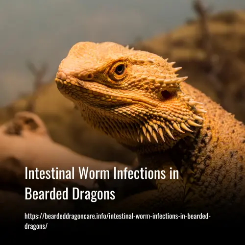 Intestinal Worm Infections in Bearded Dragons