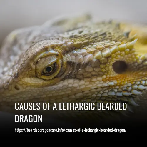 causes of a lethargic bearded dragon