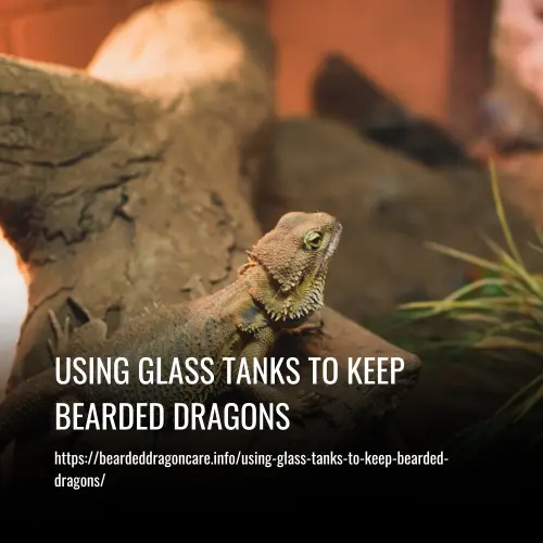 using glass tanks to keep bearded dragons