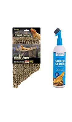 Read more about the article Beard Up! Top Accessories for Your Beloved Bearded Dragon