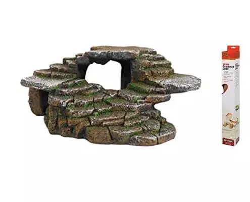 Read more about the article Bearded Dragons’ Best Bases: A Tank Review
