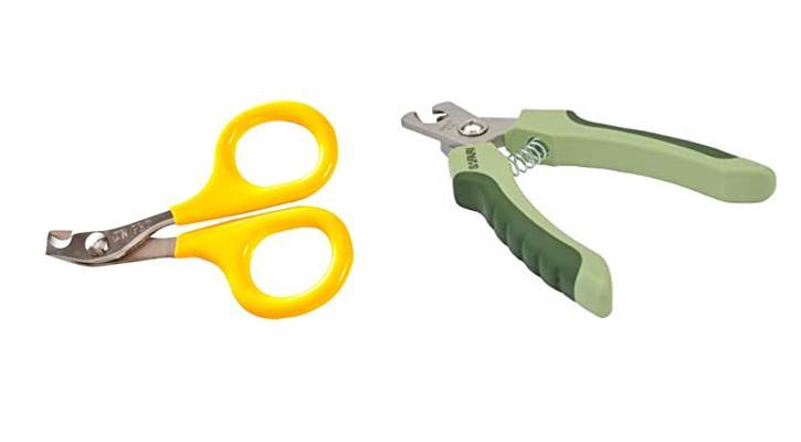 Read more about the article Clipping Carefully: Reviewing the Best Nail Clippers for Bearded Dragons