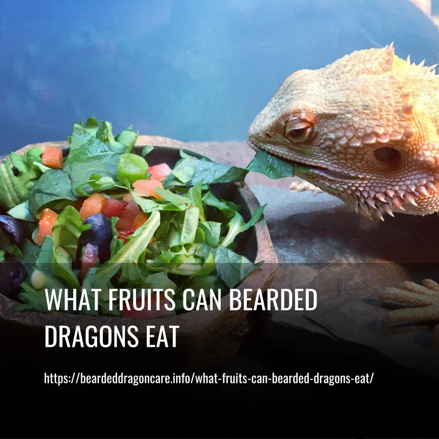 What Fruits Can Bearded Dragons Eat