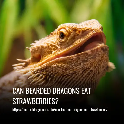 Read more about the article Can Bearded Dragons Eat Strawberries? A Comprehensive Guide