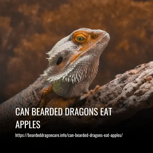 Read more about the article Can Bearded Dragons Eat Apples? A Complete Guide