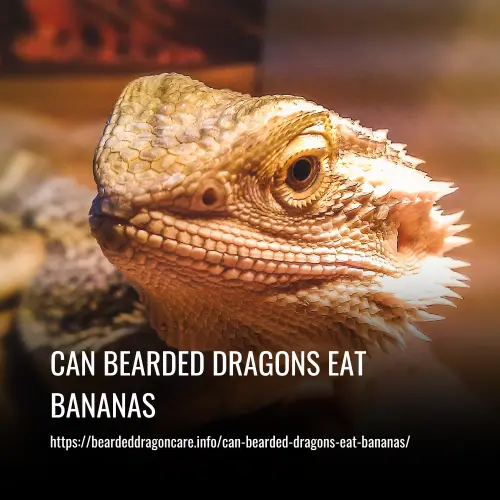 Read more about the article Can Bearded Dragons Eat Bananas? A Complete Guide