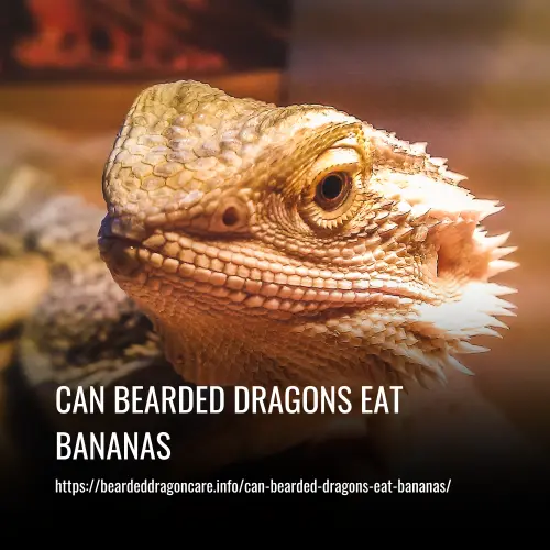 can bearded dragons eat bananas