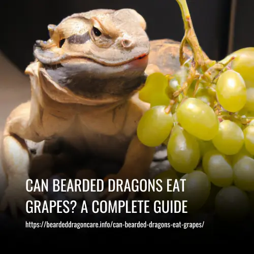 Read more about the article Can Bearded Dragons Eat Grapes? A Complete Guide