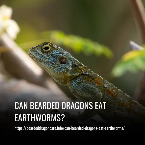 Read more about the article Can Bearded Dragons Eat Earthworms?